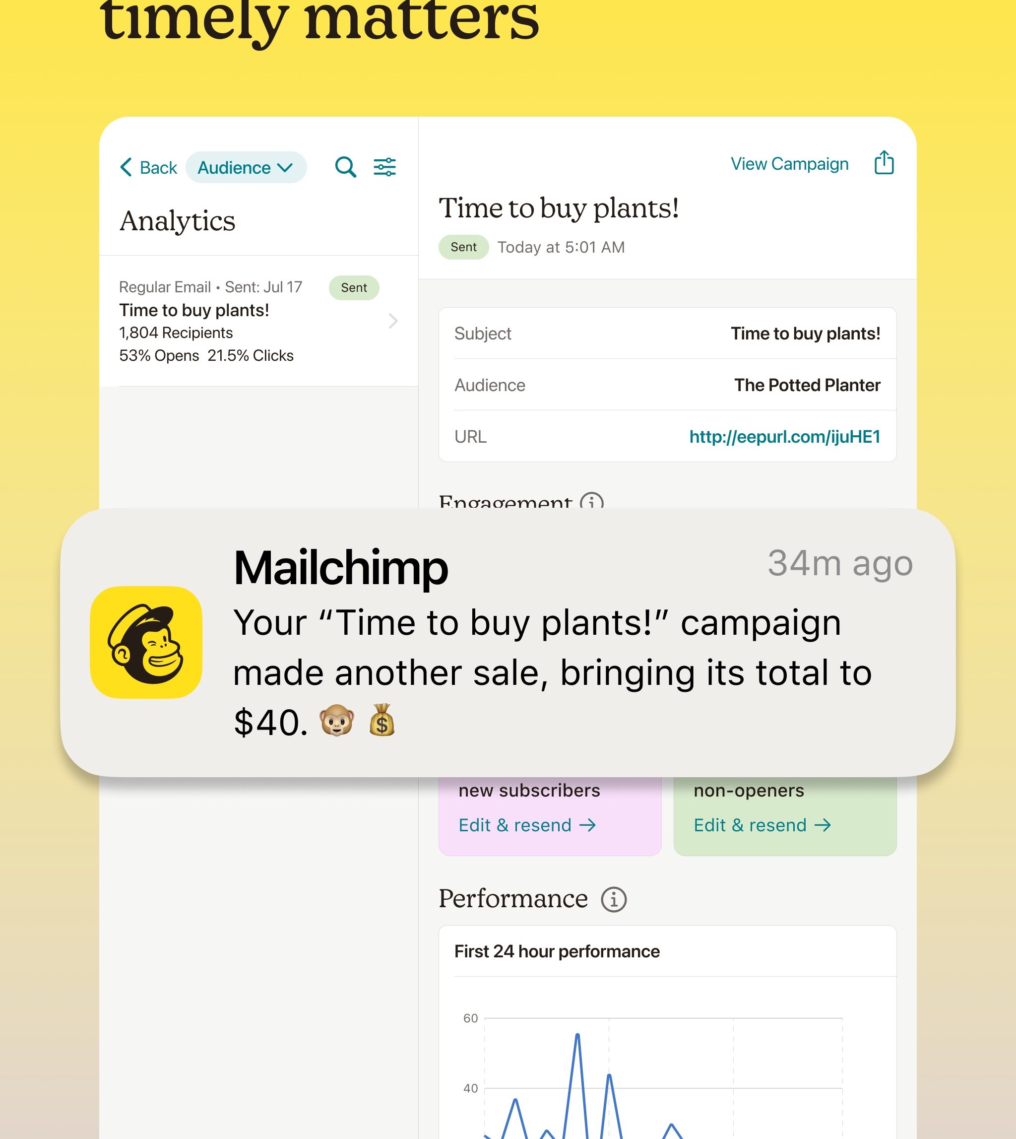 Mailchimp campaign report with sales (App Store screenshot)